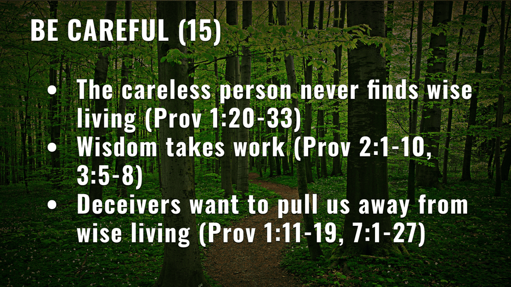 Walking With Wisdom (Ephesians 5:15-21) — saralandchristians.com